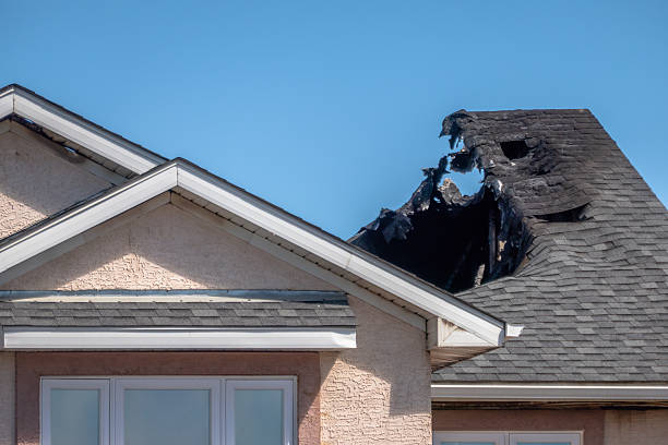 Top rated local Fire Damage Removal specialists in Bethesda, OH